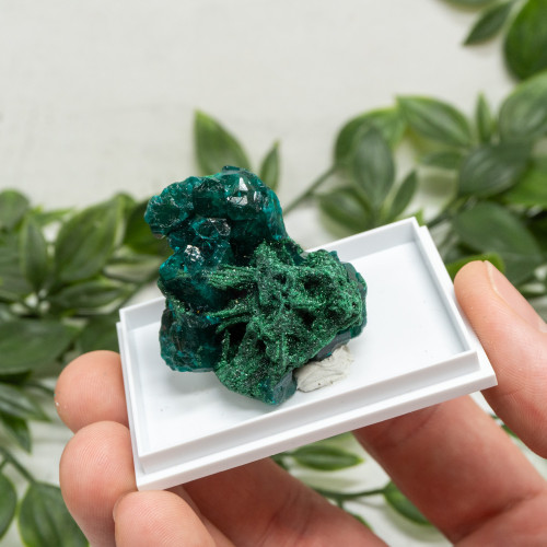 Dioptase and Malachite Pseudomorph #12