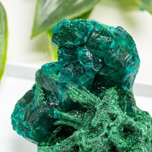 Dioptase and Malachite Pseudomorph #12