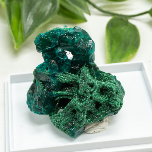 Dioptase and Malachite Pseudomorph #12