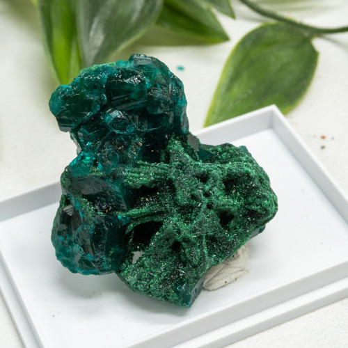 Dioptase and Malachite Pseudomorph #12