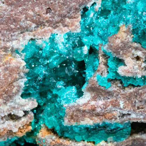 Dioptase #11