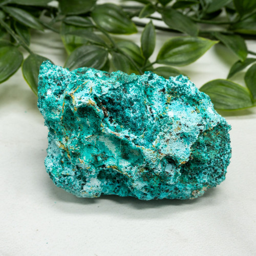 Dioptase with Chrysocolla #10