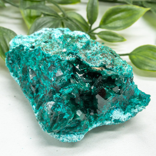 Dioptase with Chrysocolla #10