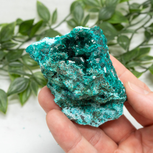 Dioptase with Chrysocolla #10