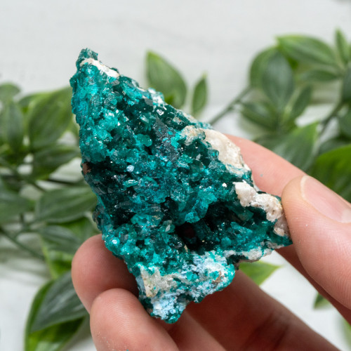 Dioptase with Chrysocolla #7