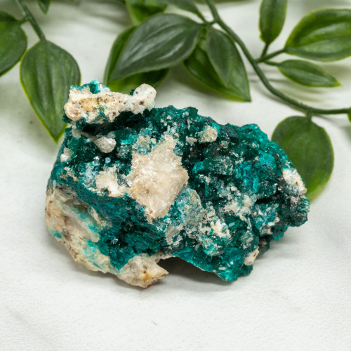 Dioptase with Chrysocolla #7