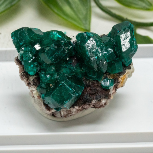 Dioptase #6
