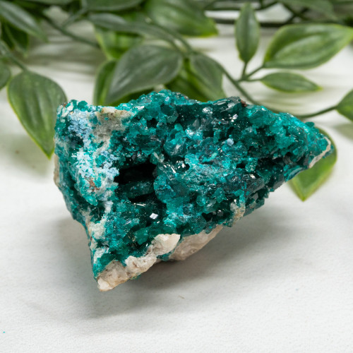 Dioptase with Chrysocolla #7