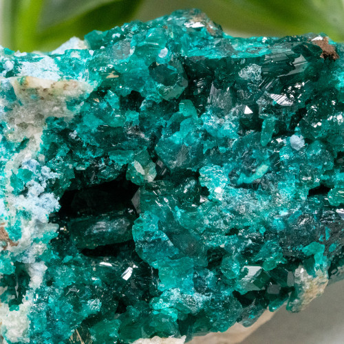 Dioptase with Chrysocolla #7