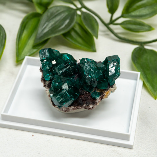 Dioptase #6