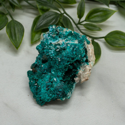 Dioptase with Chrysocolla #7