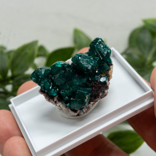 Dioptase #6