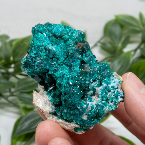 Dioptase with Chrysocolla #7