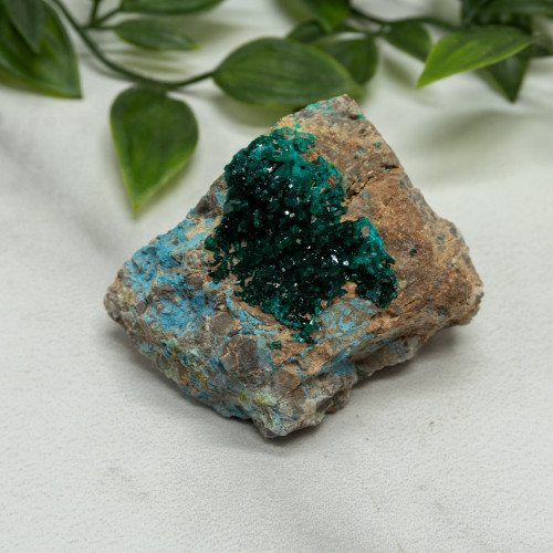 Dioptase with Chrysocolla #5