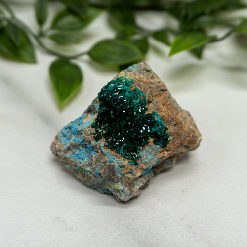 Dioptase with Chrysocolla #5