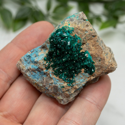 Dioptase with Chrysocolla #5