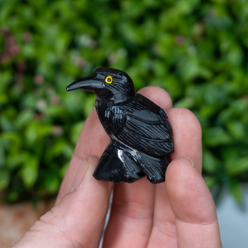 Small Black Onyx Raven