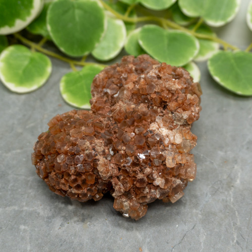 XL Raw Aragonite #4