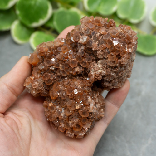 XL Raw Aragonite #4
