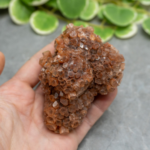 XL Raw Aragonite #3