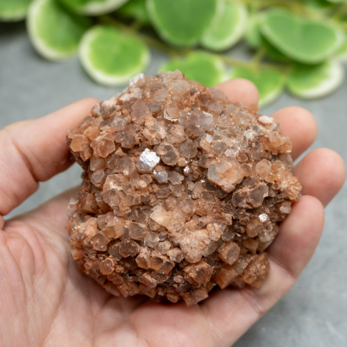 XL Raw Aragonite #2