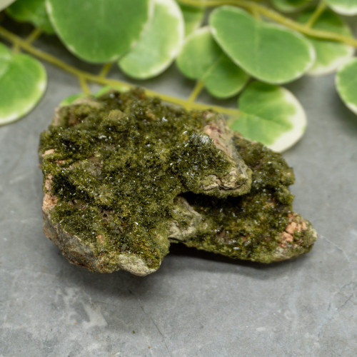 Druzy Raw Epidote #9