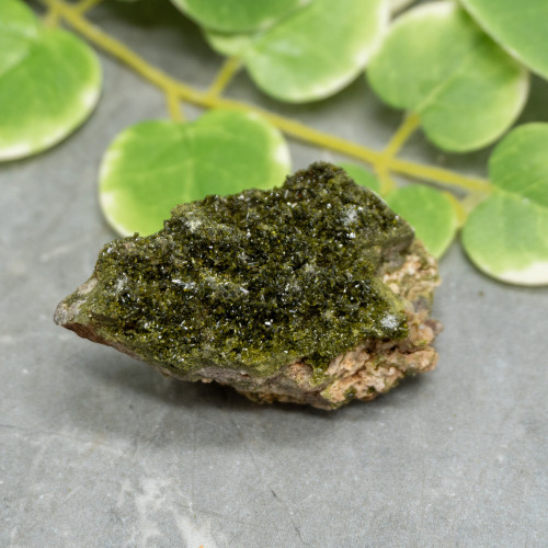 Druzy Raw Epidote #5