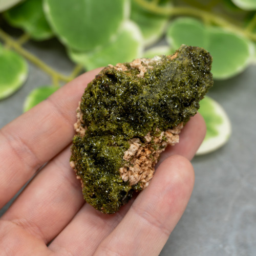 Druzy Raw Epidote #3