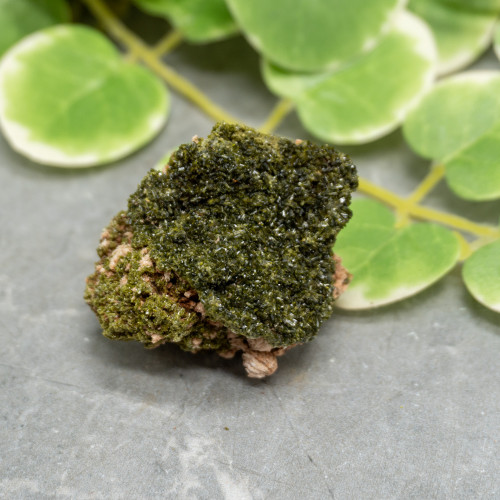 Druzy Raw Epidote #1