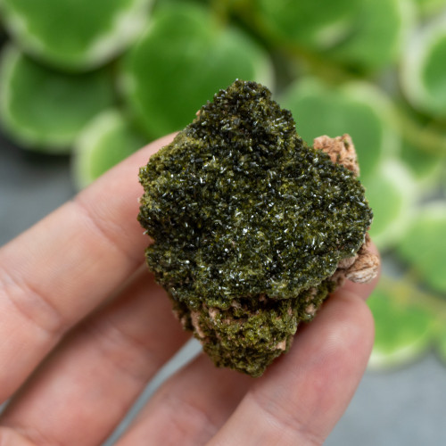 Druzy Raw Epidote #1
