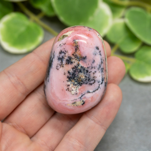 Polished Strawberry Opal #7