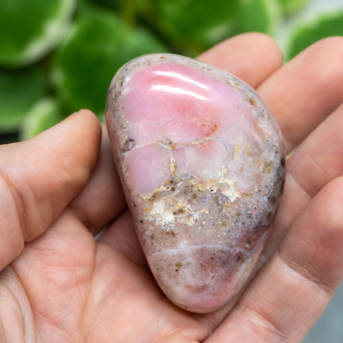 Polished Strawberry Opal #5