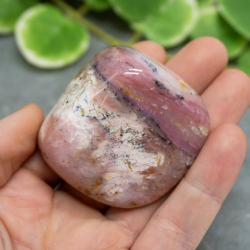 Polished Strawberry Opal #4