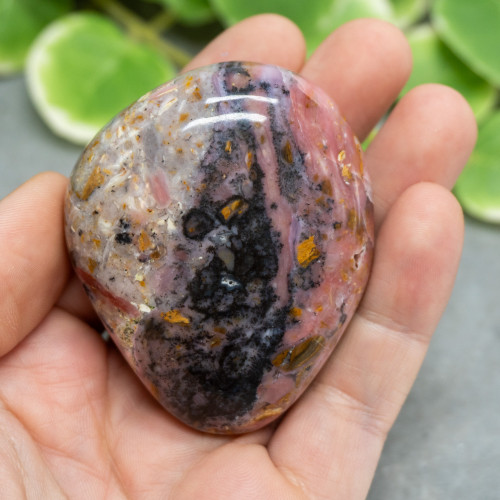 Polished Strawberry Opal #3