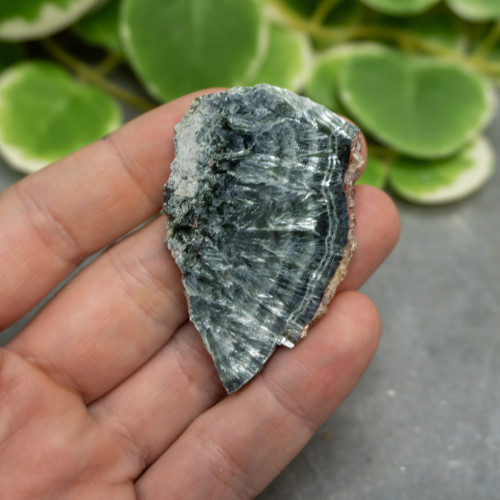 Seraphinite Slab #15