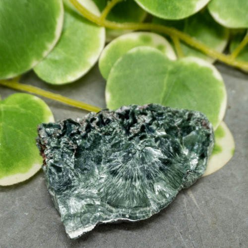 Seraphinite Slab #14
