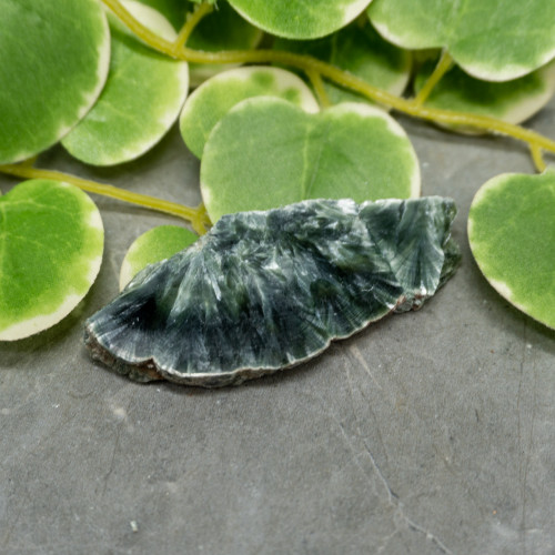 Seraphinite Slab #13