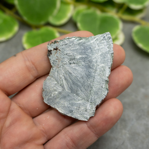 Seraphinite Slab #12