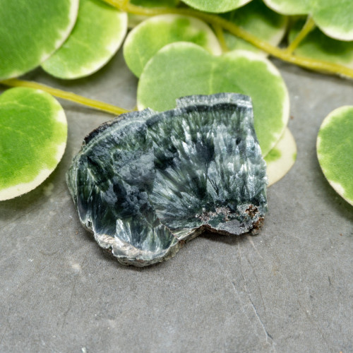 Seraphinite Slab #12