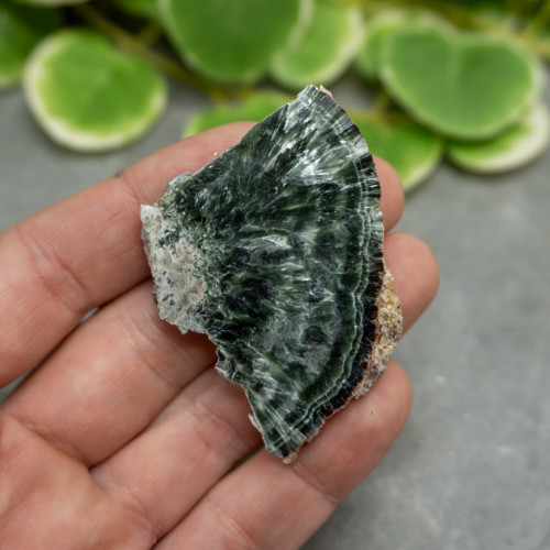Seraphinite Slab #11