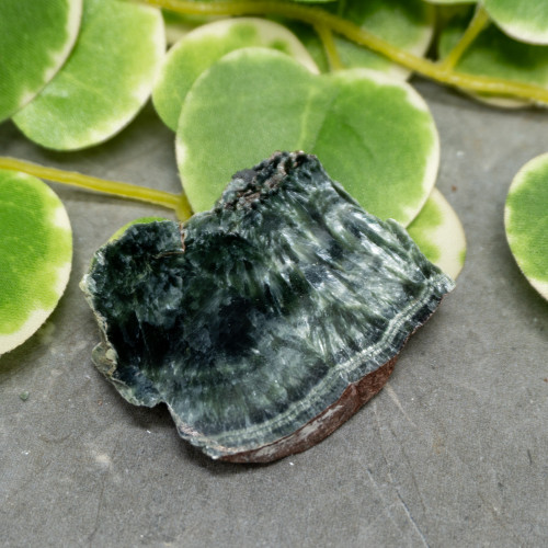 Seraphinite Slab #10
