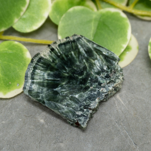 Seraphinite Slab #9