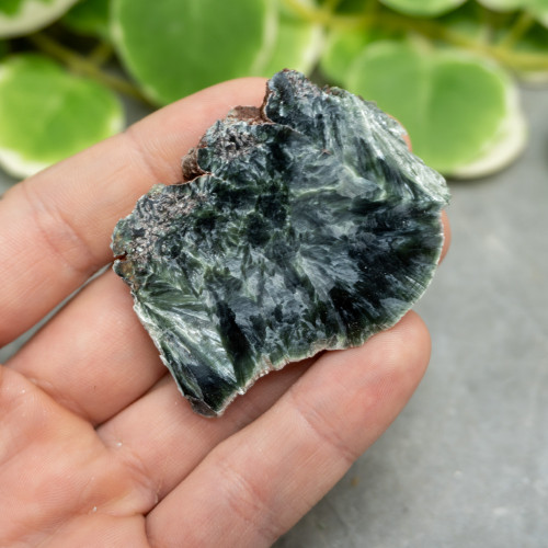 Seraphinite Slab #5
