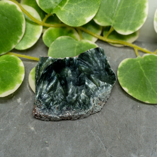 Seraphinite Slab #4
