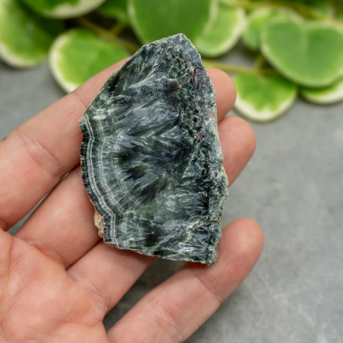 Seraphinite Slab #3