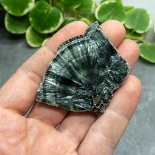 Seraphinite Slab #1