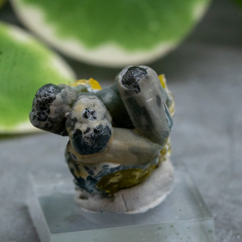 Plumbogummite on Stand #1