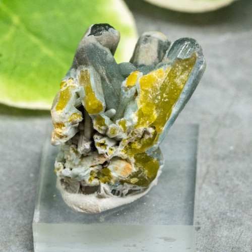 Plumbogummite on Stand #1