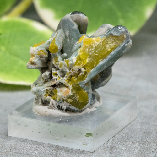 Plumbogummite on Stand #1