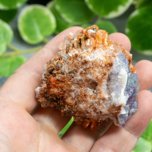 Creedite with Purple Fluorite #1
